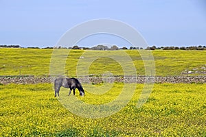 Landschap Extramadura, Landscape Extramadura