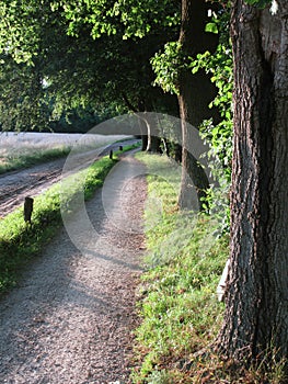 Landschap Springendal, Twente; Landscape Springendal, Twente, Ne