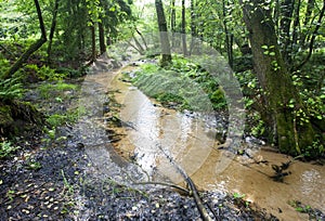 Landschap Springendal, Twente; Landscape Springendal, Twente, Ne