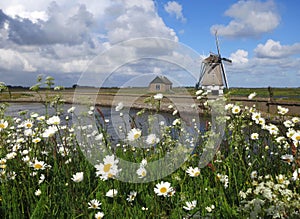 Landschap Texel; Landscape Texel, Netherlands