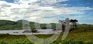 The Landscpe that never was? Geo Park Loch Assynt, Icnhnadamph, Sutherland, Scotland, UK photo