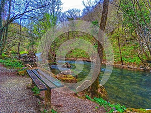 Landskape. River. Bench. Forest and river. Park. photo