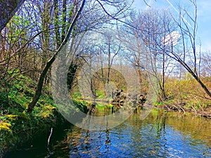 Landskape. River and forest. Background.