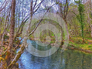 Landskape. River and forest. Background.