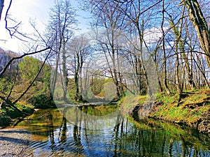 Landskape. River and forest. Background. photo