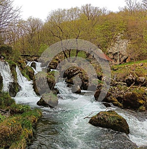 Landskape. River and forest. Background. Old mill.