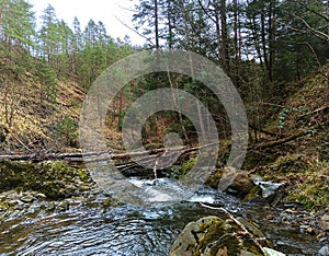 Landskape river. Wilderness. River flow. Waterfall.