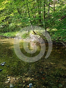 Landskape stream Nature river Water