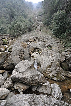 Landslide destroy