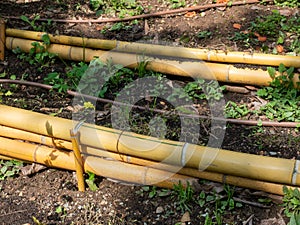 Landslide prevention:  bamboo trunks structure   to consolidate the soil photo