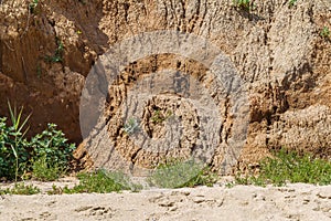 Landslide zone on Black Sea coast. Rock of sea rock shell. Zone of natural disasters during rainy season. Large masses of earth