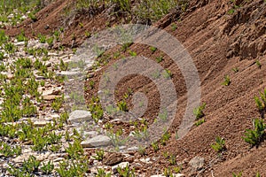 Landslide zone on Black Sea coast. Rock of sea rock shell. Zone of natural disasters during rainy season. Large masses of earth