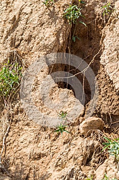 Deslizamiento de tierra zona sobre el negro el mar Costa la roca de el mar la roca caparazón. zona de desastres durante lluvioso estación. El gran masas de La tierra 