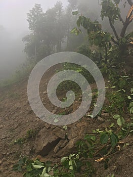 Landslides in the mountainous area of Darjeeling.