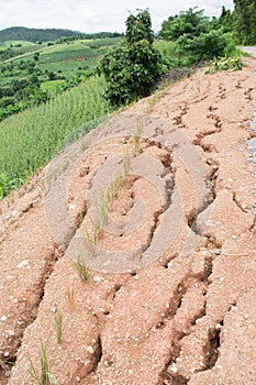 Landslides during the rainy season photo