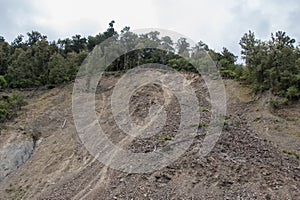 Landslip in Te Urewera National Park, New Zealand