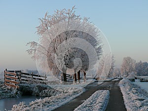 Landweg in de winter