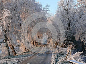 Landweg in de winter