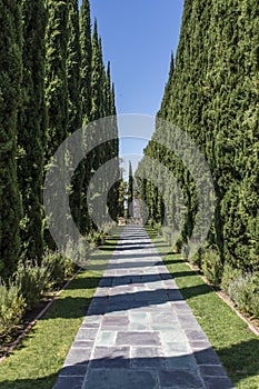 Lane in the park of the Greystone Mansion in Beverly Hills, Los Angeles, California