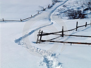 Lane in snow