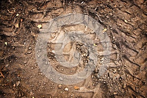 Lane of tractor or truck tires on the field as a background for