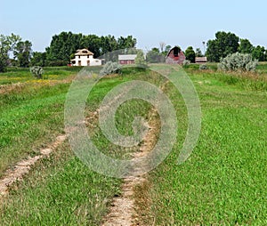 Laneway to old homestead. photo