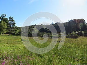 LangbÃ¼rgner See in the Chiemgau