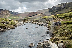 Langdale Fell Landscape, Lake District National Park