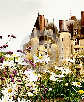 Langeais castle -Loire valley