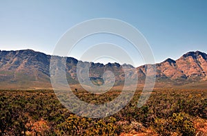 The Langeberg near Robertson with indigenous fynbos photo