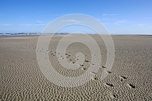 Langeoog Beach