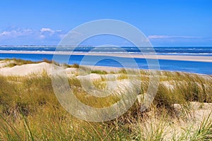 Langeoog Dune