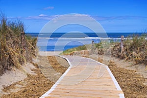 Langeoog dune and track