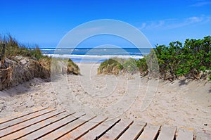 Langeoog dune and track