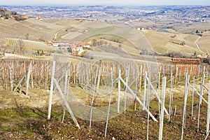 Langhe