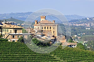 Langhe, Barolo castle with vineyards