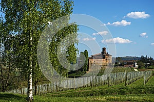 Langhe - Barolo, the Della Volta castle.