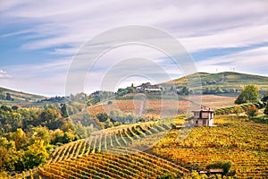 Langhe Barolo vineyards hills landscape, Piedmont, Italy. photo
