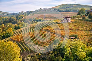 Langhe Barolo vineyards hills landscape, Piedmont, Italy. photo