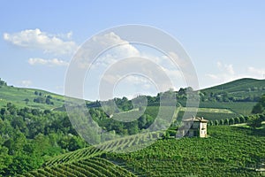 Langhe, Barolo vineyards panorama