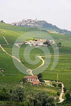 Langhe district, Italian vineyards