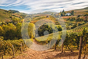 Langhe e Roero vineyards autumn landscape photo