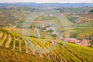 Langhe e Roero hills vineyards autumn landscape photo
