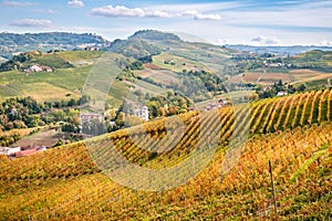 Langhe e Roero vineyards hills autumn landscape photo