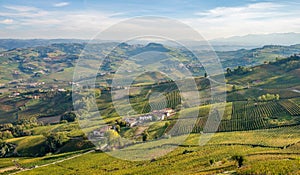 Langhe e Roero vineyards hills, Piedmont, Italy.