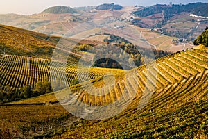 Langhe region, Piedmont, Italy. Autumn landscape