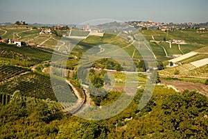 Langhe region, south Piemonte, Italy. Wine hills