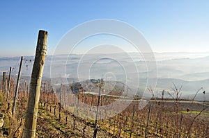 Langhe and Roero hills, Piemonte, Italy