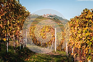 Langhe vineyards hills, La Morra village on the background. Autumn season, orange and yellow colors. Viticulture, Langhe, Italy photo