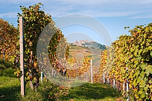 Langhe vineyards hills, La Morra village on the background. Autumn season, orange and yellow colors. Viticulture, Langhe, Italy photo